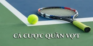 Tìm Hiểu Cá Cược Quần Vợt M88 Chuyên Nghiệp Cho Người Chơi