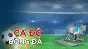 Tìm Hiểu Cá Cược Bóng Đá M88 Hiệu Quả Cho Người Chơi