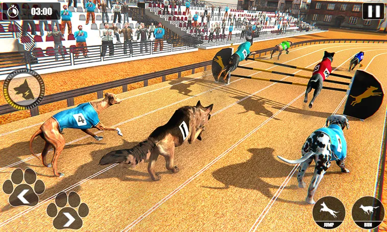 Cách Chơi Game Nhanh Đua Chó Tại M88 Hấp Dẫn Nhất Cho Cược Thủ 2 Cách Chơi Game Nhanh Đua Chó Tại M88 Hấp Dẫn Nhất Cho Cược Thủ